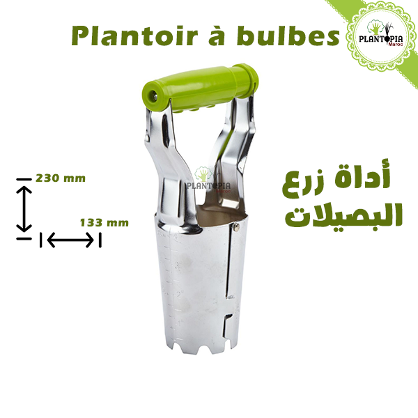 Plantoir à bulbes au Maroc - أداة زرع البصيلات - Bulb planter - Bulbes marrakech, casablanca, sale, rabat, fes
