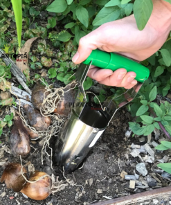 Plantoir de bulbes Plantopia Maroc - زرع بيع شراع البصيلات في المغرب - Vente de bulbes Marrakech, Rabat, Fes, Sale,