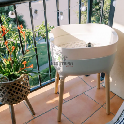 Planter Caption by Plantopia Maroc - Best Pants nursery - Plant box seller in Morocco