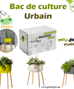 Planter Plantopia Maroc - Bac de culture Maroc - Jardinière d'interieur - صندوق زراعي حضري في المغرب