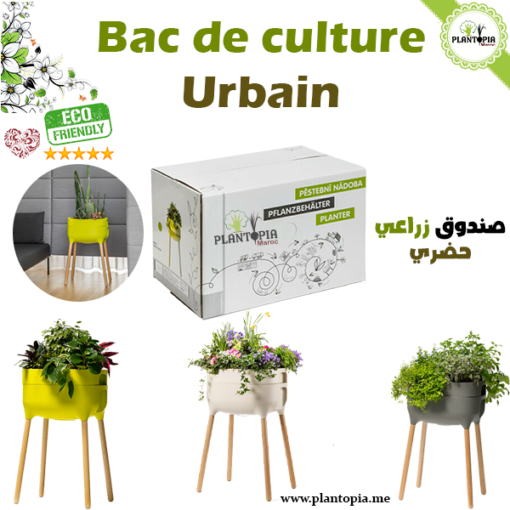 Planter Plantopia Maroc - Bac de culture Maroc - Jardinière d'interieur - صندوق زراعي حضري في المغرب