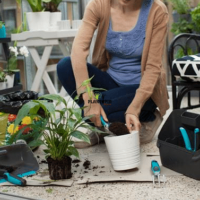 Balcony Box Plantopia Maroc