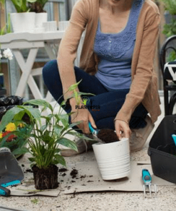 Balcony Box Plantopia Maroc