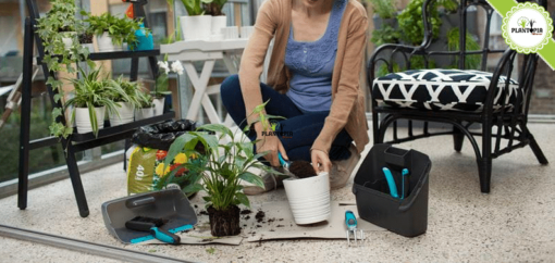 Balcony Box Plantopia Maroc