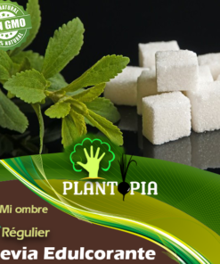 Graines Stevia Maroc - Semences Stevia plante sucre edulcorant by Plantopia Maroc - بذور نبتة ستيفيا سكرية في المغرب