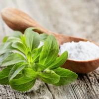 Graines et semences de stevia Sidi slimane Laayoune Dakhla Settat Berrechid Safi Benguerir