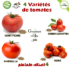 Pack graines 4 variétés de tomates anciennes - Plantopia Maroc - Sachet semences de tomate au Maroc - بذور اصناف طماطم