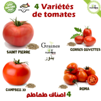 Pack graines 4 variétés de tomates anciennes - Plantopia Maroc - Sachet semences de tomate au Maroc - بذور اصناف طماطم