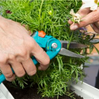 outils jardinage Jumia MAroc - Graines semences et terreau Jumia Plantopia