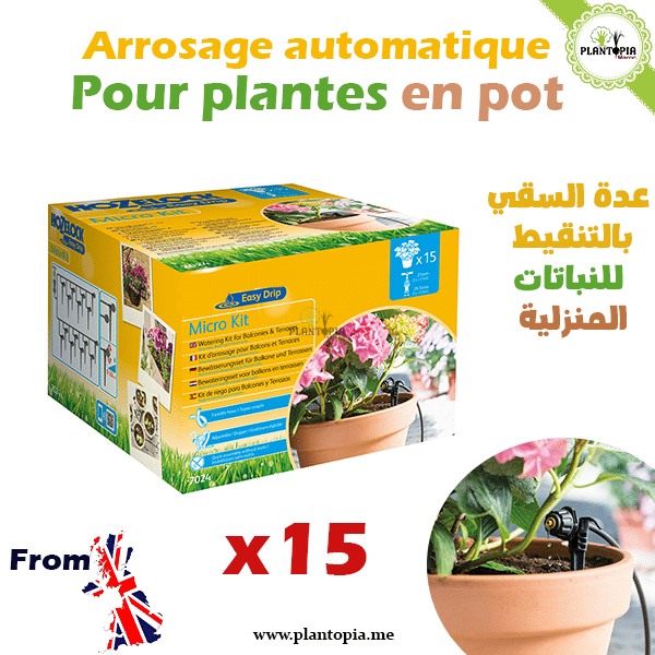 Kit arrosage des plantes en pot x15  عدة السقي بالتنقيط للنباتات المنزلية
