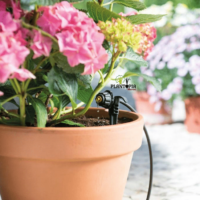 Kit arrosage des plantes en pot - kit pour 15 pot et jardinieres - Pack irrigation goutte à goutte - 15 gouuteurs au Maroc