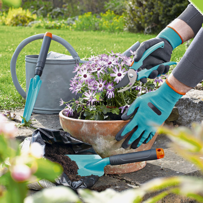 Outils jardinage au Maroc - Gants jardin - Secateur - Transplantoir - Pelle - Marrakecn Casablanca Rabat Sale Aadir Oujda Dakhla Tanger Temara Sekhirat Plantopia