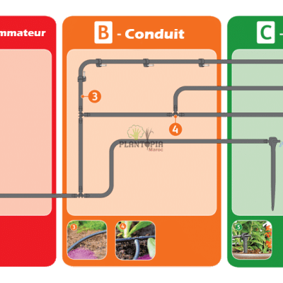 Guide utilisation kit goutteurs robinet programmable arrosage plantes en pot au MAroc