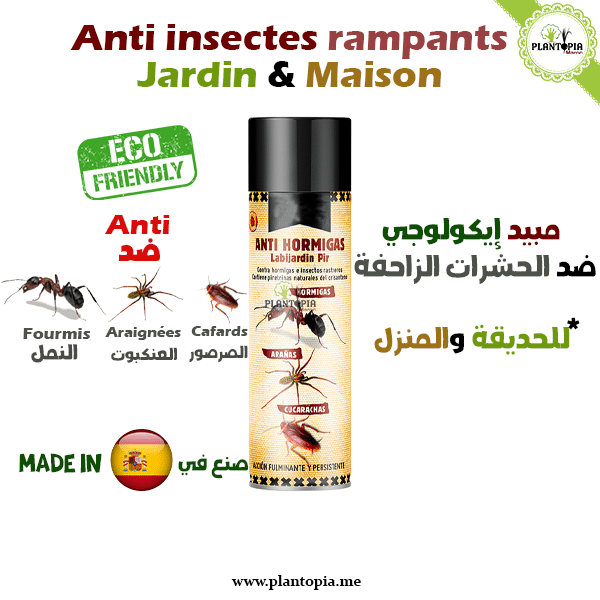 Insecticide BIO - Anti insectes rampants - Plantopia Maroc