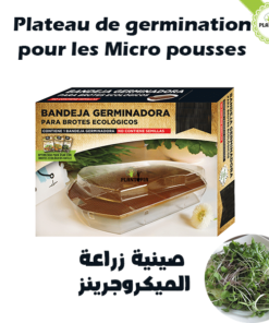 Plateau de germination des micro pousses au Maroc - Kit de culture des micro pousses par Plantopia Maroc - لوازم زراعة الميكروجرينز في المغرب