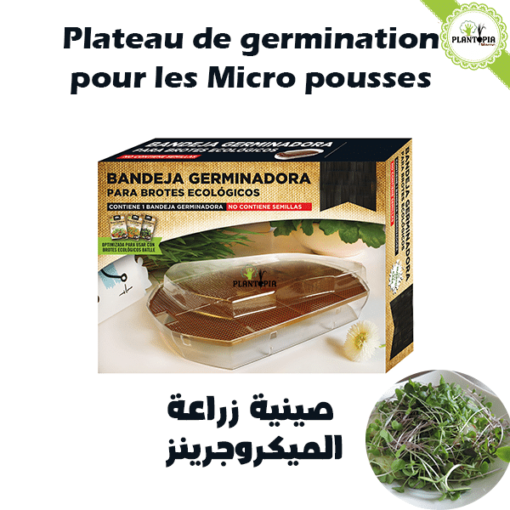 Plateau de germination des micro pousses au Maroc - Kit de culture des micro pousses par Plantopia Maroc - لوازم زراعة الميكروجرينز في المغرب