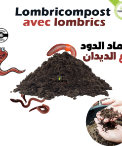 Lombricompost vermicompost avec lombrics et vers de terre au Maroc By plantopia