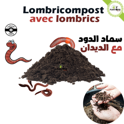 Lombricompost vermicompost avec lombrics et vers de terre au Maroc By plantopia