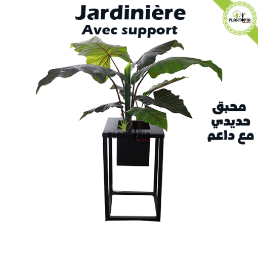 Jardiniere interieu pour plantes à Casablanca Marrakech Rabat Fes Sale Tanger Agadir