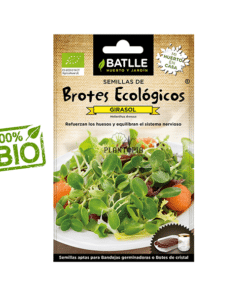 Graines et semences bio de tournesol pour micro pousses et micro greens