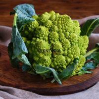 Romanesco Nataliano Brocoly seeds in Morocco - Graines potager Maroc