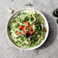 Salade micro pousses blé wheatgrass Plantopia Maroc
