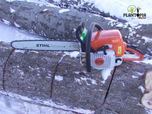 Chainsaw rental for ladscaping and gardening in Morocco - Chainsaw sell & rental by Pantopia Maroc