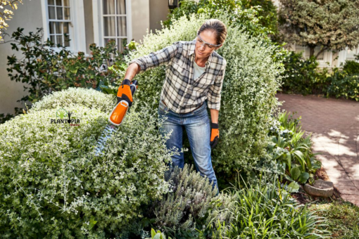 Cisaille electrique STIHL HSA 26 Plantopia Maroc
