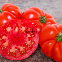 Graines & semences de tomate Marmande VR à Casablanca Marrakech Rabat Agadir Essaouira Sale Fes