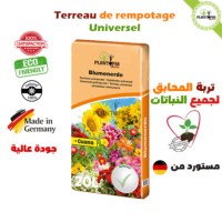 Terreau de rempotage universel au Maroc - Leader de vente des terreaux au Maroc