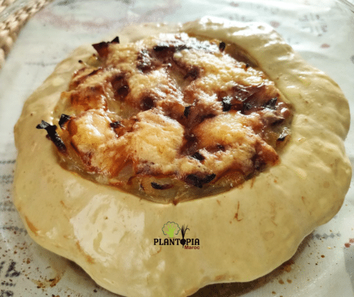 Citrouille Maroc