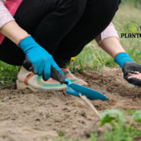 Engrais pour légumes de potager et tomates en pot de Plantopia Maroc