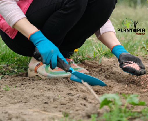 Engrais pour légumes de potager et tomates en pot de Plantopia Maroc
