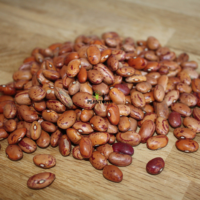 Graines haricot rouge BIO Buenos Aires - بذور زراعة لوبيا حمراء في المغرب بذور زراعية فاصولياء بيونس ايريس
