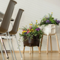 Jardinière pour plantes aromatiques et médicinales au Maroc - Plantopia Maroc