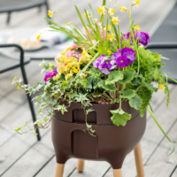 Low Planter Bronze Brown by Plantopia Maroc - Jardinière potager mobile Maroc