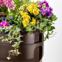 Potager casablanca Marrakech Rabat Agadir Salé Meknes Fes Tanger Sekhirat Dar Bouazza