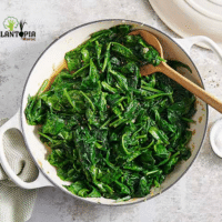 Recette et fournisseur epinars Plantopia Maroc