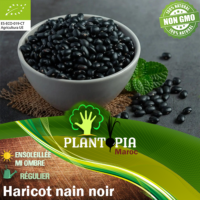 Sachet de graines et semences BIO haricot nain noir sans fil Superba - Plantopia Maroc
