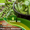 Sachet de graines et semences BIOlo de pois à rames Alderman Roi des Halles - Plantopia Maroc