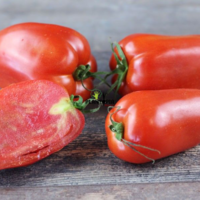 Graines & semences potageres de tomate andine cornue chez Plantopia Maroc