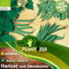 Sachet de graines & semences BIO d'haricot nain mane tout Slenderette - Plantopia Maroc