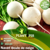 Sachet de graines & semences de navet boule de neige - Plantopia Maroc