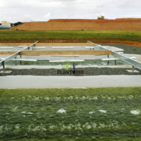 Bassin de fermentation algues marines pour engrais naturel et organique - Ferme Plantopia Maroc