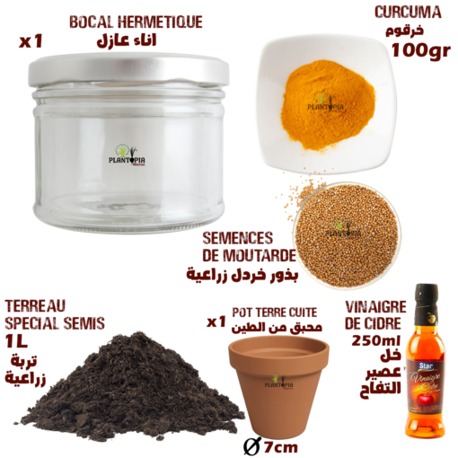 Coffret moutardophile pour preparation de moutarde à la maison à Casablanca Rabat Bouskoura Marrakech Fes