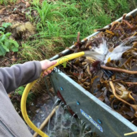 Compost d algues marines pour potager et plantes en pot - Plantopia Maroc