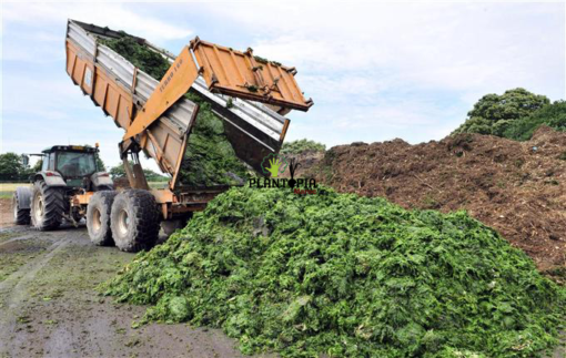 Ferme localisation Plantopia Maroc - Fermentation compost algues Marines