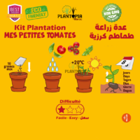 Guide de culture tomates cerises Mes petites tomates pour enfants et adultes - Plantopia Maroc