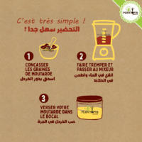 Guide de fabrication de moutarde à la maison - Plantopia Maroc