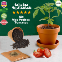 Kit coffret de plantation et semis de tomates cerises - Plantopia Maroc - Pack et Kit Mes petites tomates